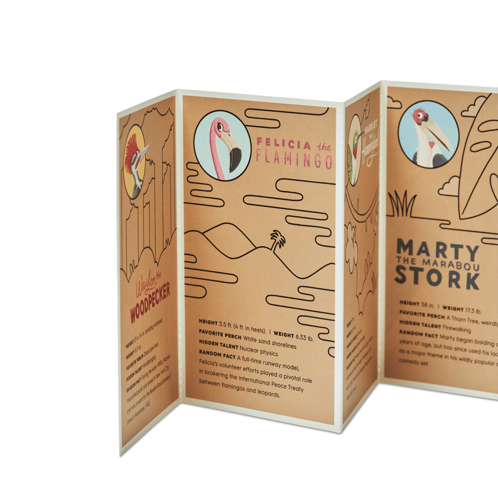 Physical Gift Cards - Physical Gift Card - Image 3